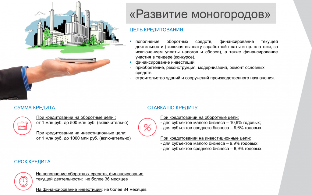 Презентация МСП Банк_продукты-8.png